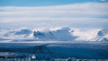 Global Leaders Gather to Address Climate Change