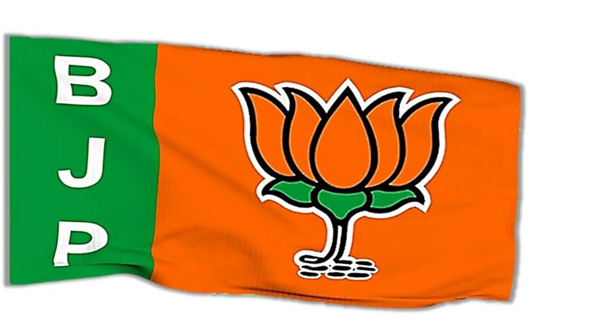 CG भाजपा की नई कार्यकारिणी घोषित, 47 नए चेहरे टीम में, रवि की जगह राहुल बने भाजयुमो अध्यक्ष