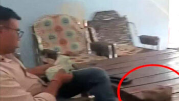CG पुलिस का कॉन्स्टेबल 1 लाख रिश्वत लेते कैमरे में कैद, आबकारी एक्ट केस में फंसाने की धमकी देकर ऐंठे रुपए