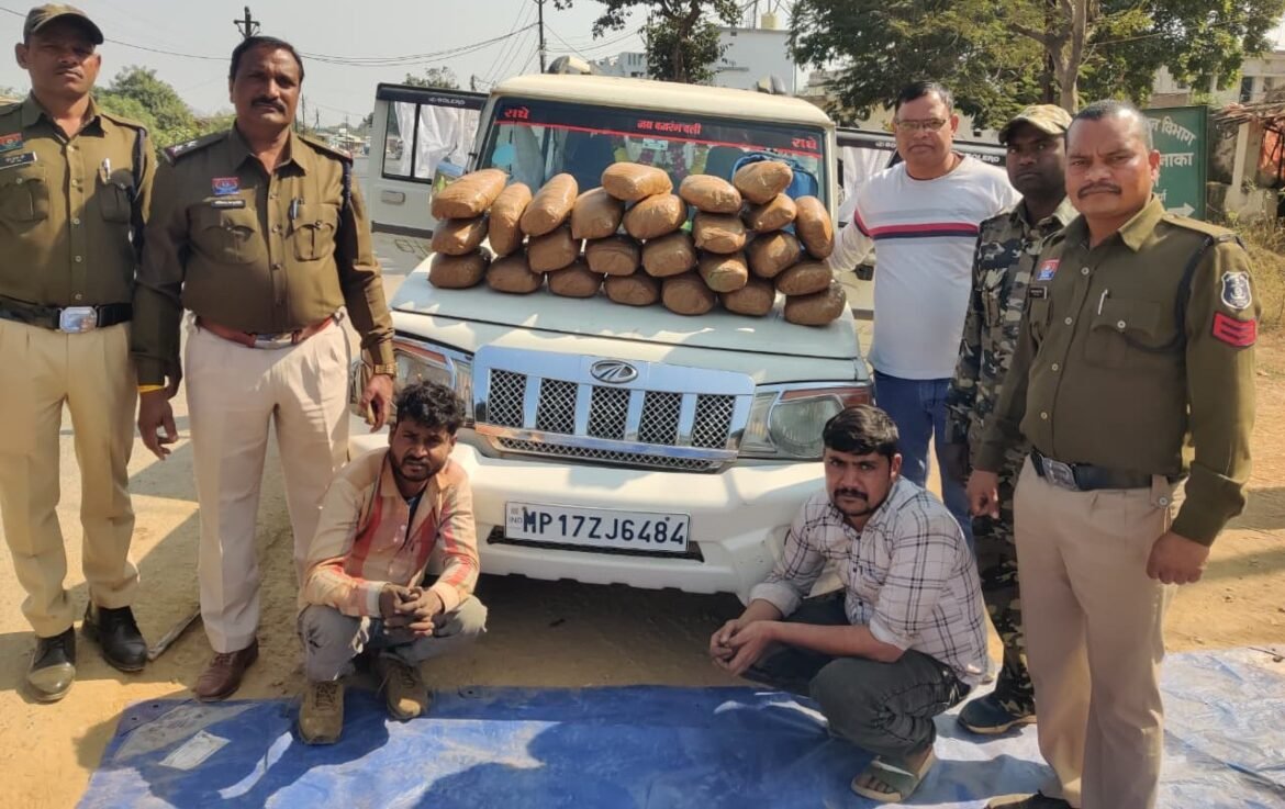 बोलेरो वाहन से गांजा जप्त करते कबीरधाम पुलिस अधिकारी