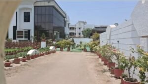 ED का छापा