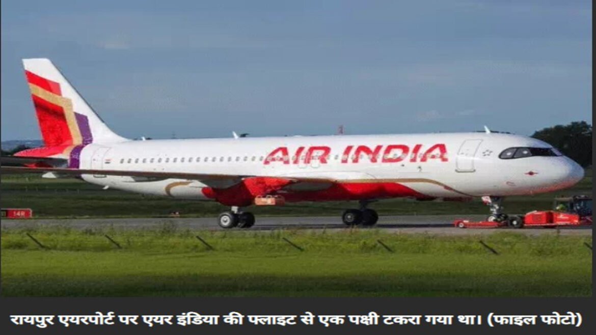 रायपुर एयरपोर्ट में विमान से टकराया पक्षी, लैडिंग के दौरान हादसा