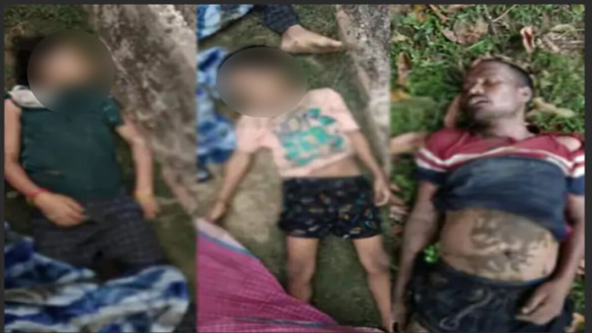 सरगुजा में आकाशीय बिजली से 3 की मौत, बिलासपुर में आंधी-बारिश से जनजीवन अस्त-व्यस्त