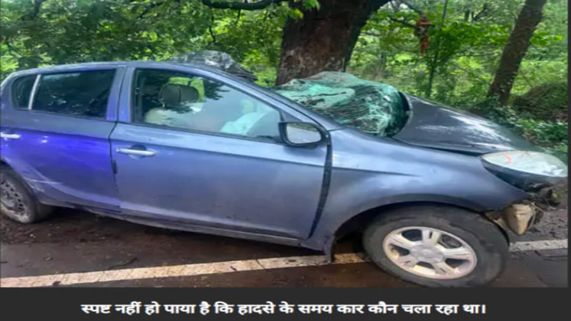 भिलाई सेंट्रल एवेन्यू में तेज रफ्तार कार पेड़ से टकराई, दो युवकों की मौत