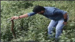छत्तीसगढ़ में 10 साल बाद दिखा दुर्लभ दोमुंहा सांप, करोड़ों रुपए में तस्कर लगाते हैं बोली 